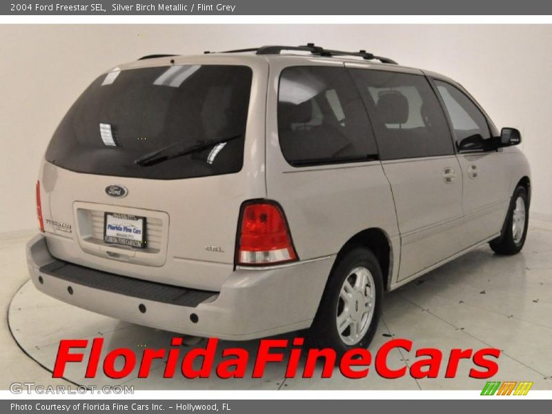 Silver Birch Metallic / Flint Grey 2004 Ford Freestar SEL