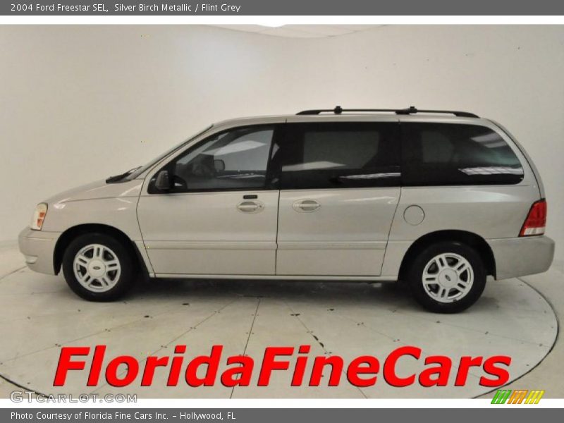 Silver Birch Metallic / Flint Grey 2004 Ford Freestar SEL