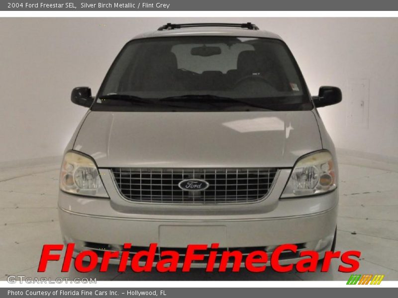 Silver Birch Metallic / Flint Grey 2004 Ford Freestar SEL