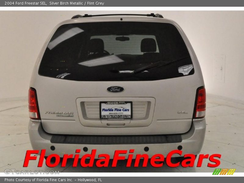 Silver Birch Metallic / Flint Grey 2004 Ford Freestar SEL