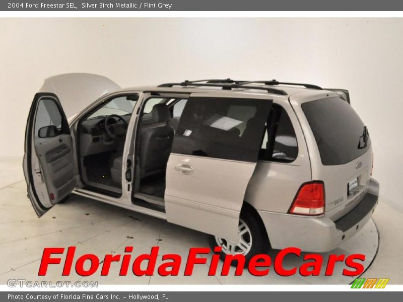 Silver Birch Metallic / Flint Grey 2004 Ford Freestar SEL