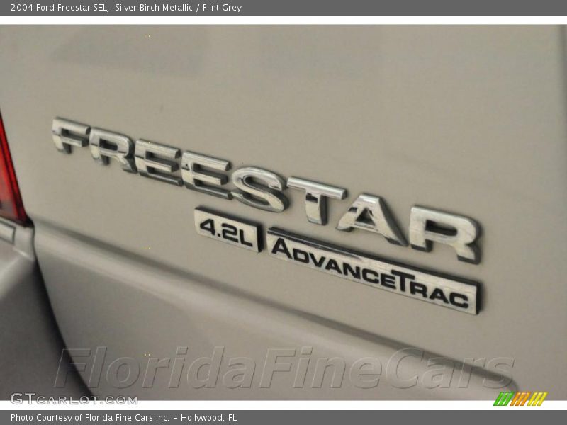 Silver Birch Metallic / Flint Grey 2004 Ford Freestar SEL