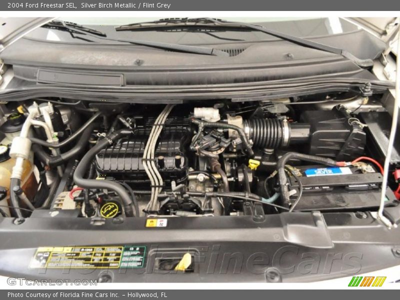 Silver Birch Metallic / Flint Grey 2004 Ford Freestar SEL