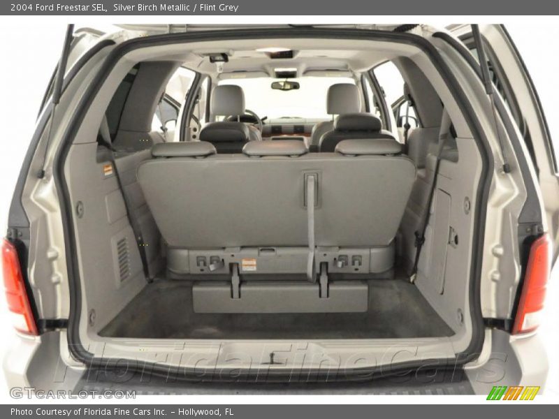 Silver Birch Metallic / Flint Grey 2004 Ford Freestar SEL