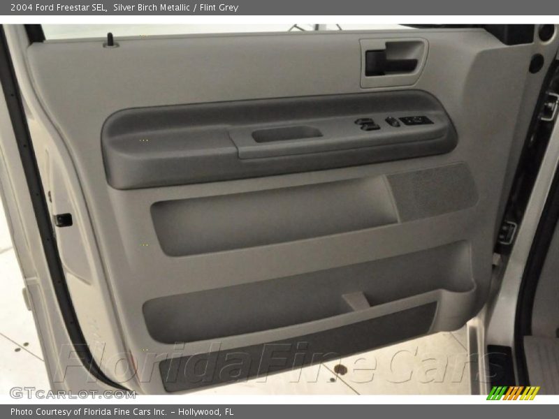 Silver Birch Metallic / Flint Grey 2004 Ford Freestar SEL