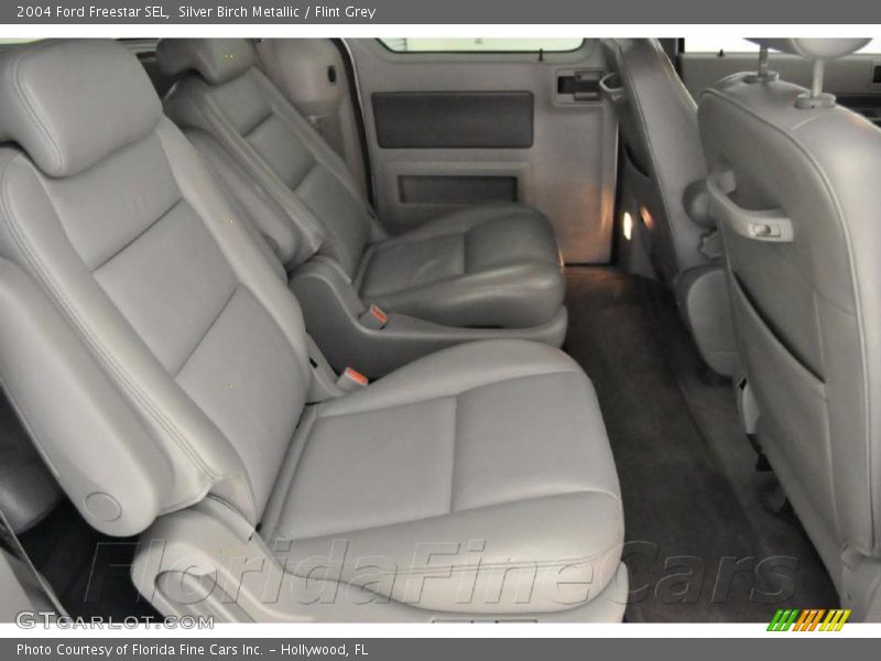 Silver Birch Metallic / Flint Grey 2004 Ford Freestar SEL