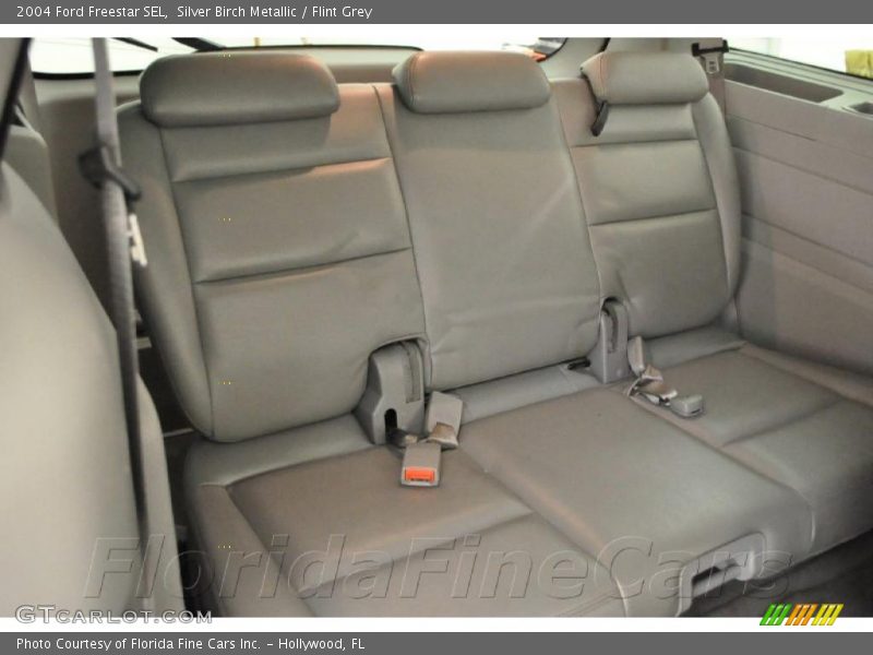 Silver Birch Metallic / Flint Grey 2004 Ford Freestar SEL