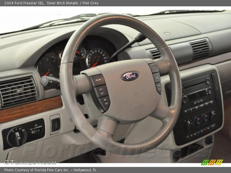 Silver Birch Metallic / Flint Grey 2004 Ford Freestar SEL