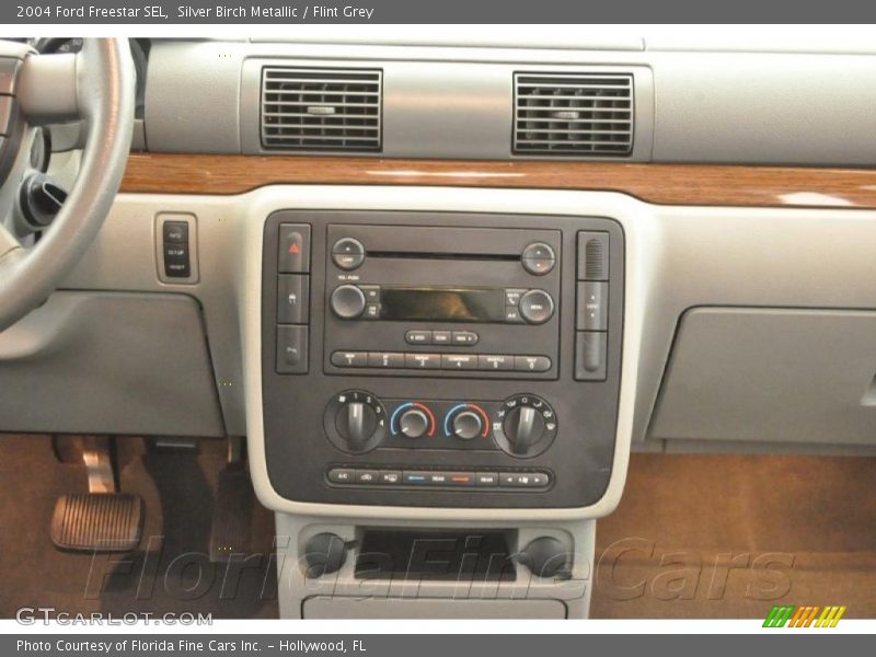 Silver Birch Metallic / Flint Grey 2004 Ford Freestar SEL