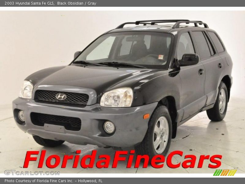Black Obsidian / Gray 2003 Hyundai Santa Fe GLS