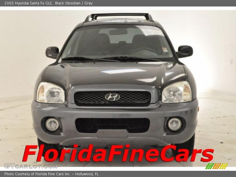 Black Obsidian / Gray 2003 Hyundai Santa Fe GLS