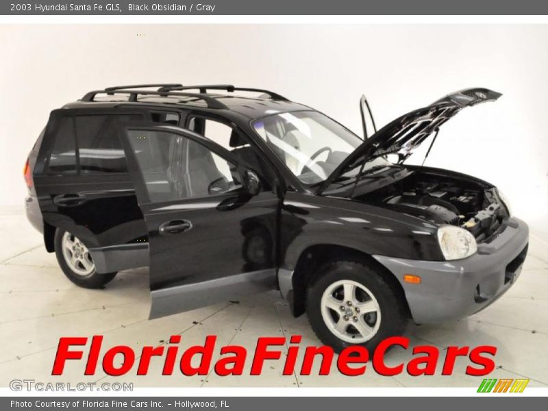 Black Obsidian / Gray 2003 Hyundai Santa Fe GLS