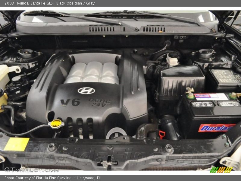 Black Obsidian / Gray 2003 Hyundai Santa Fe GLS
