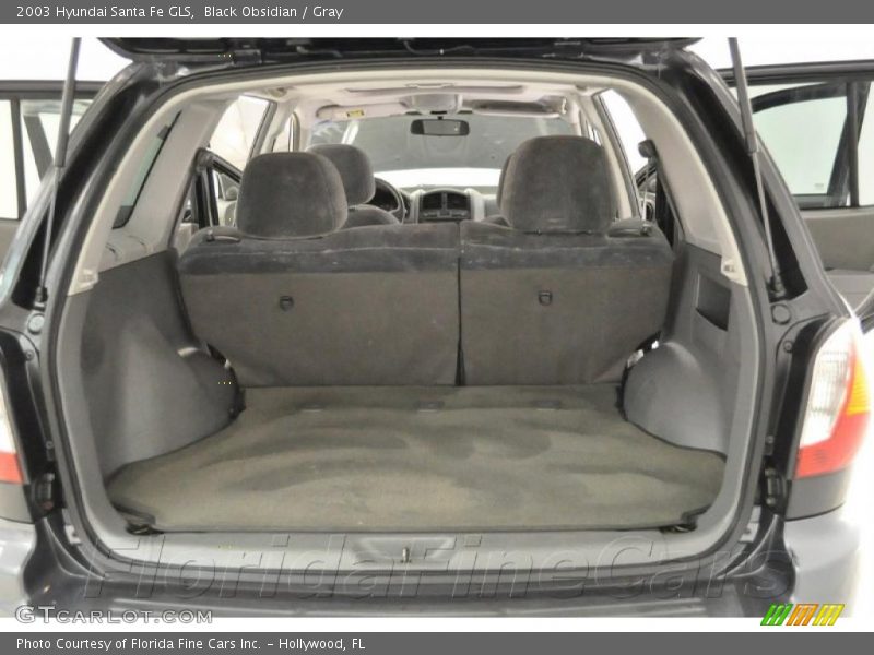Black Obsidian / Gray 2003 Hyundai Santa Fe GLS
