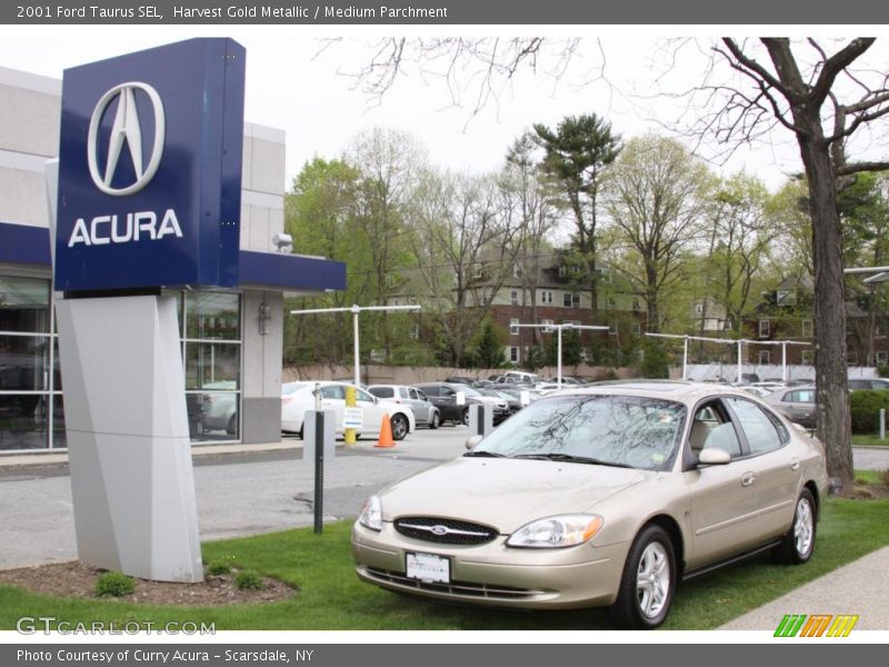 Harvest Gold Metallic / Medium Parchment 2001 Ford Taurus SEL