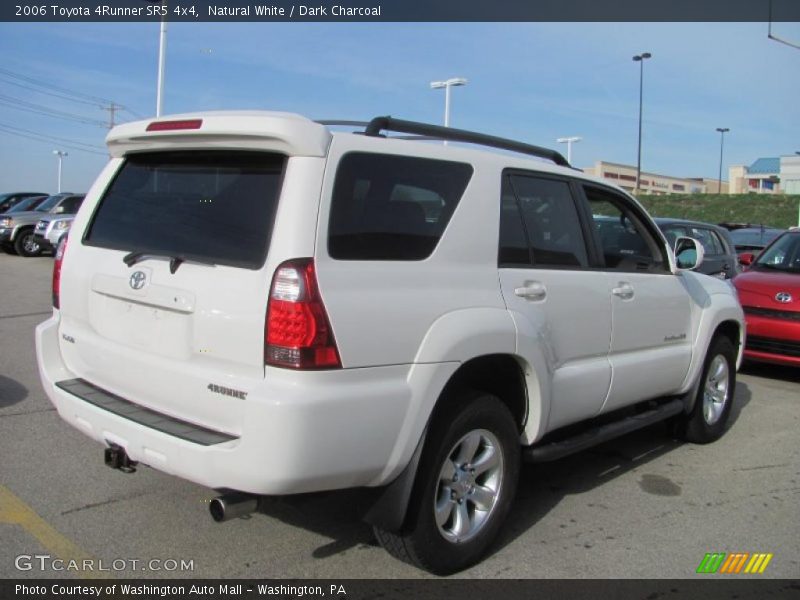 Natural White / Dark Charcoal 2006 Toyota 4Runner SR5 4x4