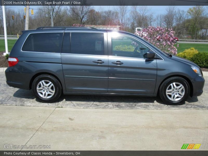 Sage Brush Pearl / Olive 2006 Honda Odyssey EX