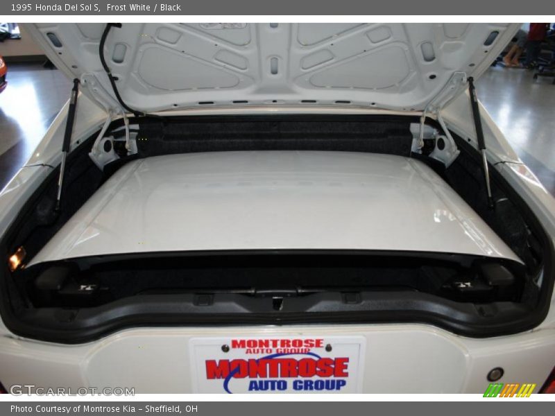 Frost White / Black 1995 Honda Del Sol S