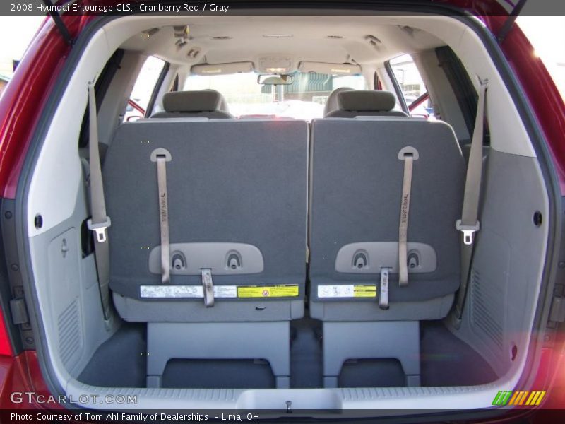 Cranberry Red / Gray 2008 Hyundai Entourage GLS