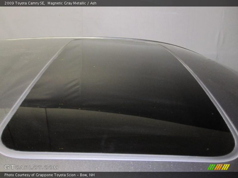 Magnetic Gray Metallic / Ash 2009 Toyota Camry SE