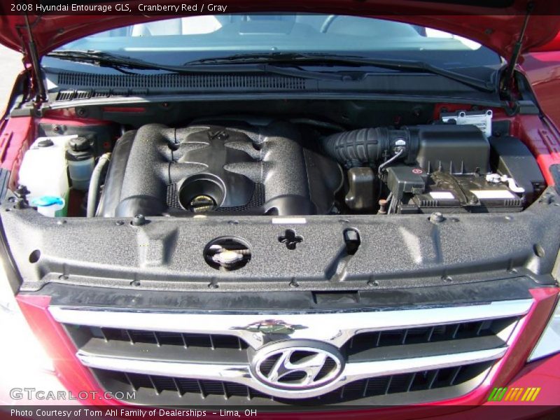 Cranberry Red / Gray 2008 Hyundai Entourage GLS
