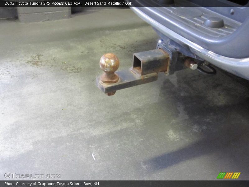 Desert Sand Metallic / Oak 2003 Toyota Tundra SR5 Access Cab 4x4