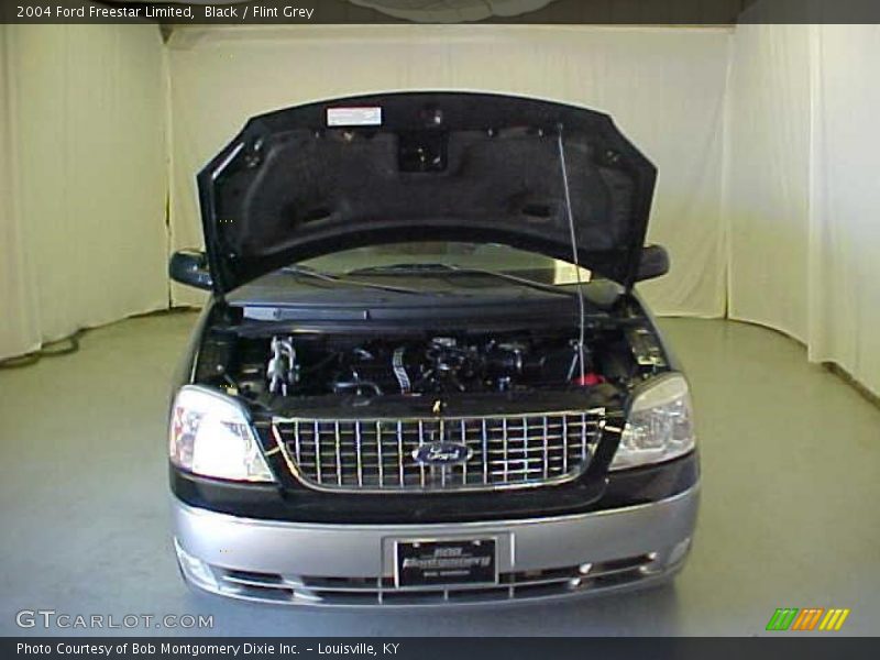 Black / Flint Grey 2004 Ford Freestar Limited