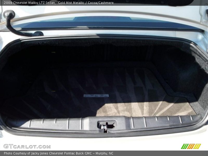 Gold Mist Metallic / Cocoa/Cashmere 2009 Chevrolet Malibu LTZ Sedan