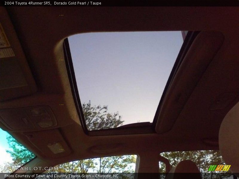 Dorado Gold Pearl / Taupe 2004 Toyota 4Runner SR5