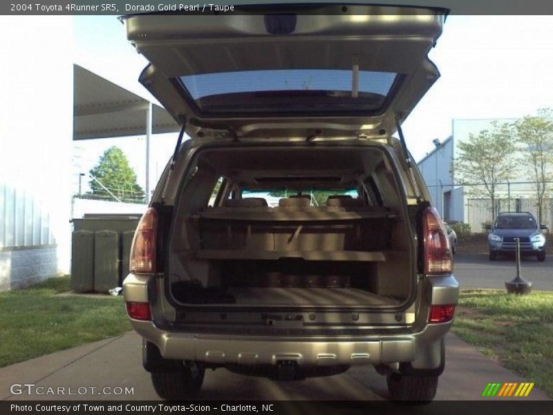 Dorado Gold Pearl / Taupe 2004 Toyota 4Runner SR5