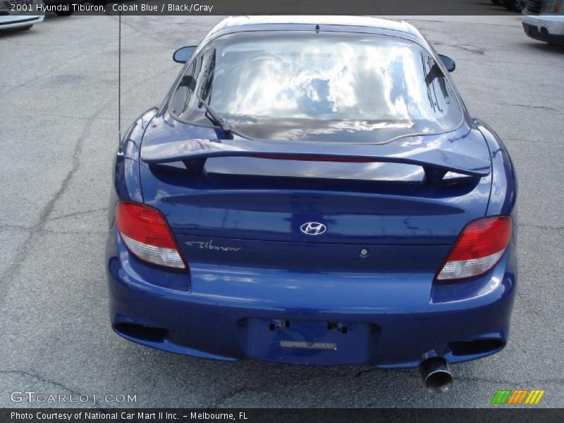 Cobalt Blue / Black/Gray 2001 Hyundai Tiburon