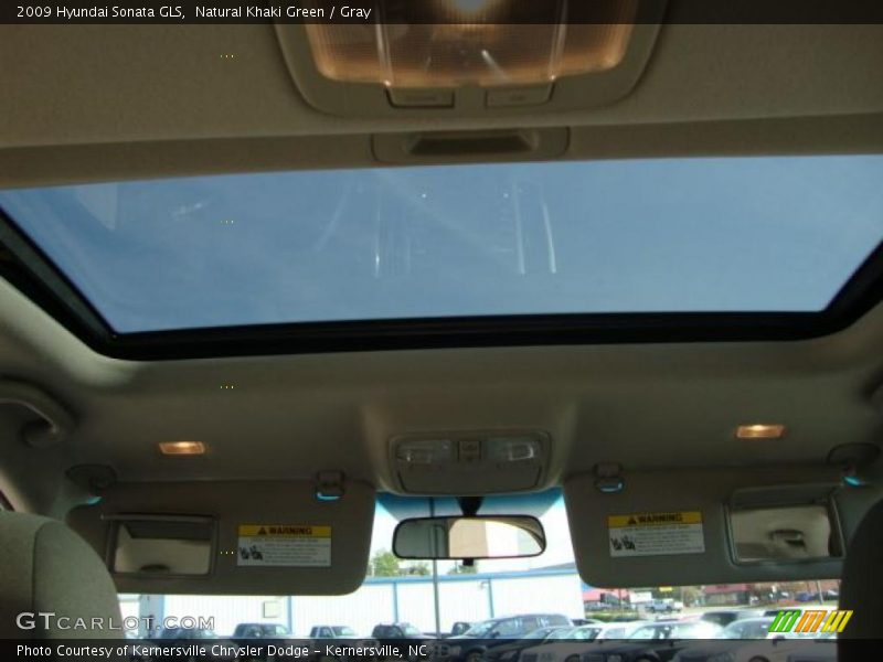 Natural Khaki Green / Gray 2009 Hyundai Sonata GLS