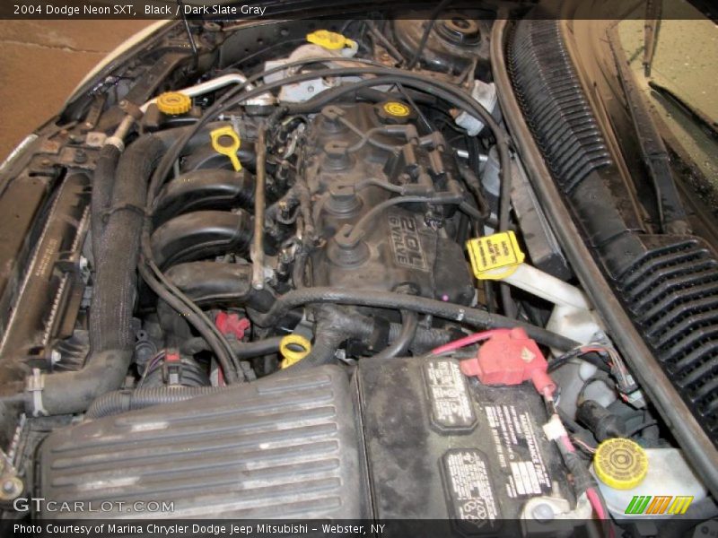 Black / Dark Slate Gray 2004 Dodge Neon SXT