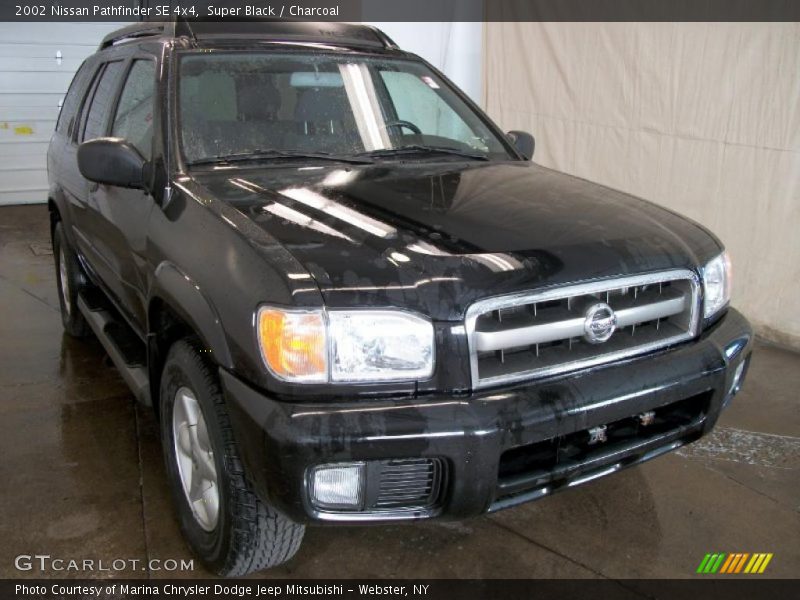 Super Black / Charcoal 2002 Nissan Pathfinder SE 4x4