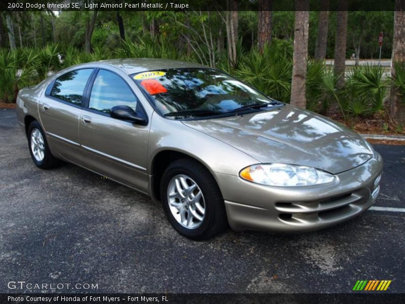 Light Almond Pearl Metallic / Taupe 2002 Dodge Intrepid SE