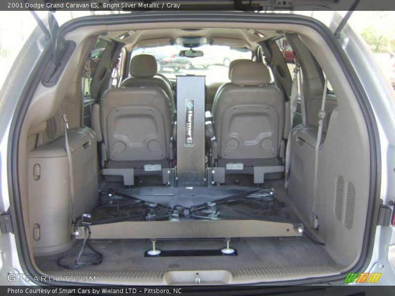 Bright Silver Metallic / Gray 2001 Dodge Grand Caravan ES
