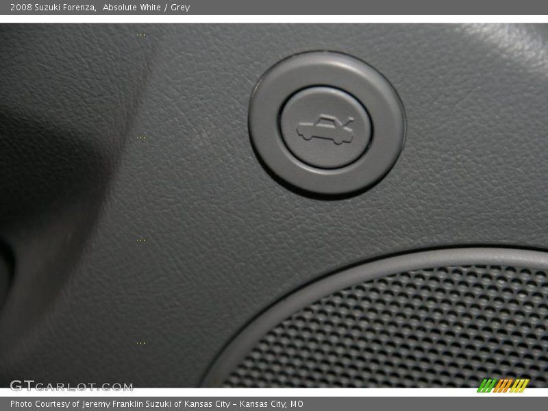 Absolute White / Grey 2008 Suzuki Forenza