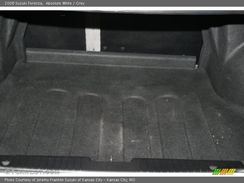 Absolute White / Grey 2008 Suzuki Forenza