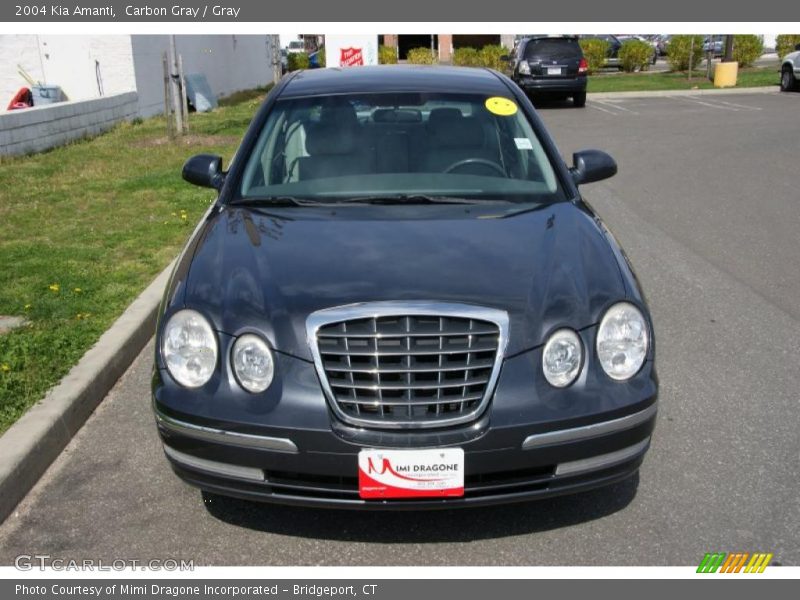 Carbon Gray / Gray 2004 Kia Amanti