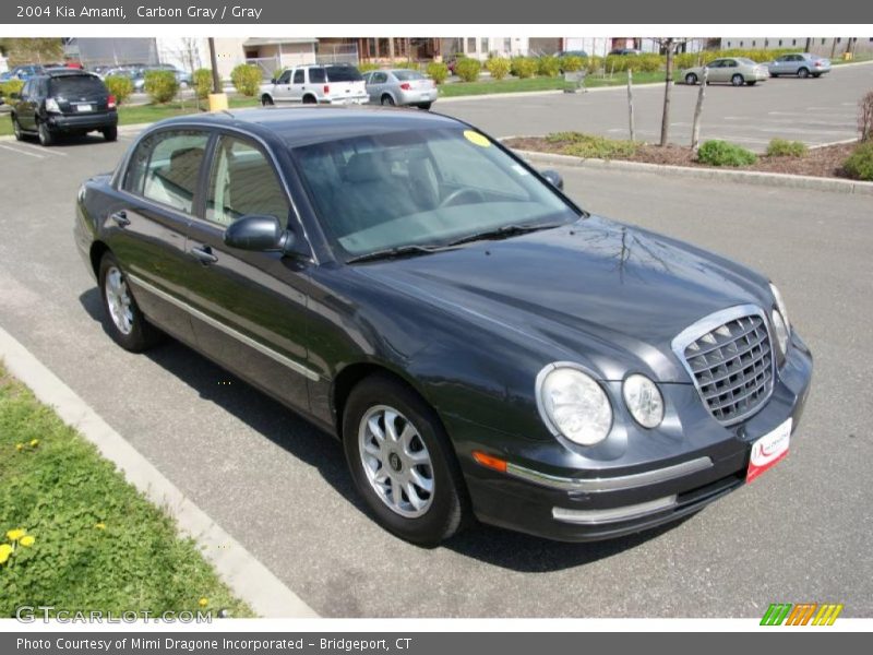 Carbon Gray / Gray 2004 Kia Amanti