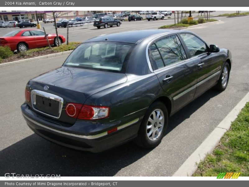 Carbon Gray / Gray 2004 Kia Amanti