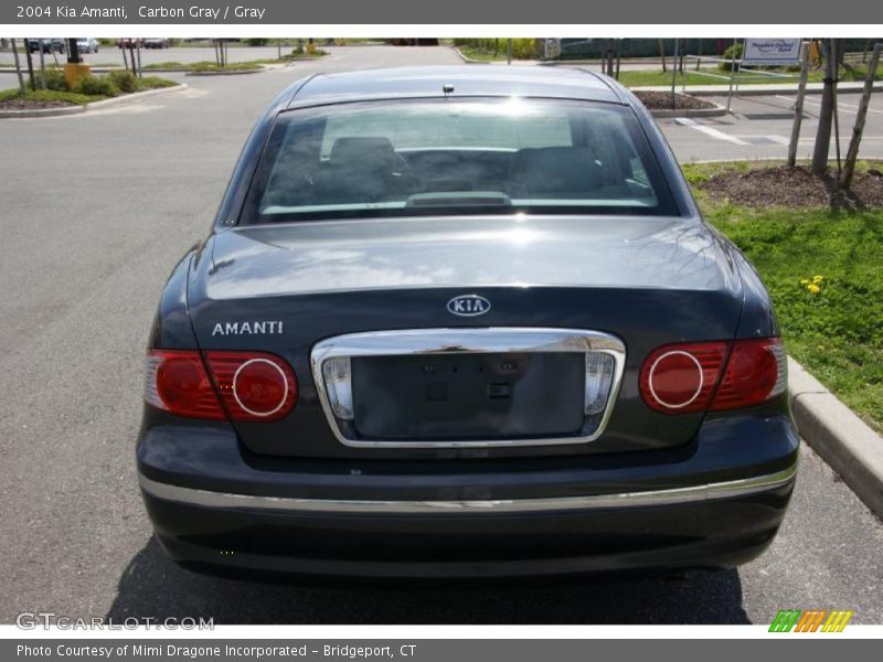 Carbon Gray / Gray 2004 Kia Amanti