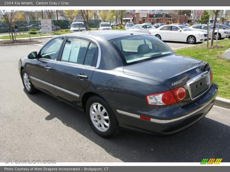 Carbon Gray / Gray 2004 Kia Amanti