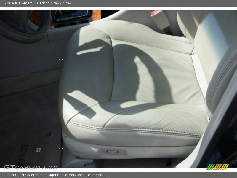 Carbon Gray / Gray 2004 Kia Amanti