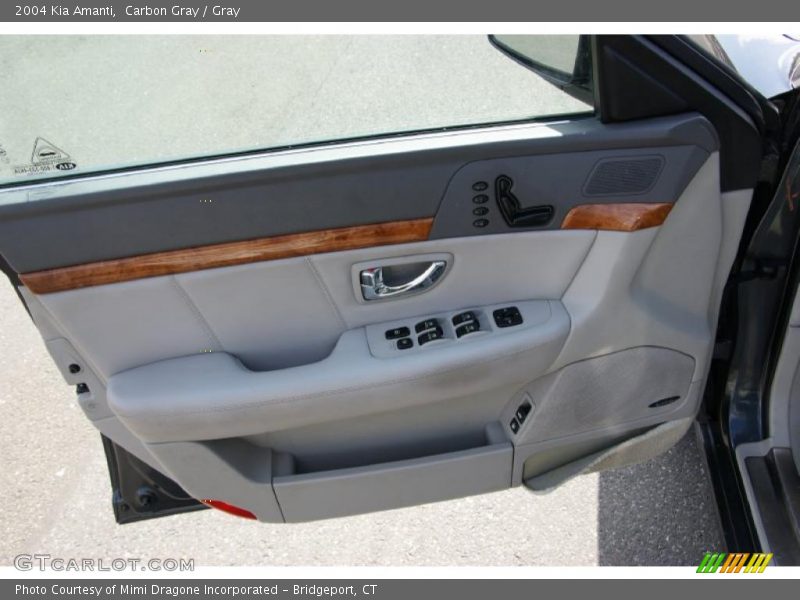 Carbon Gray / Gray 2004 Kia Amanti
