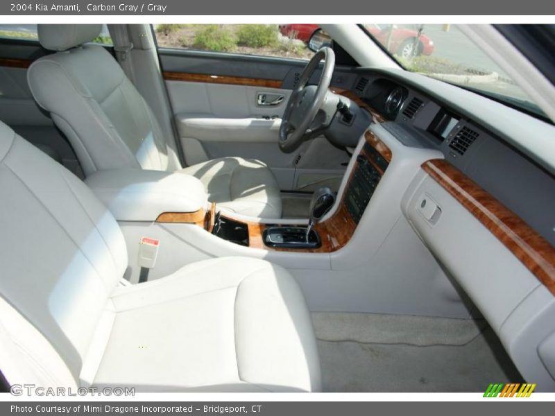 Carbon Gray / Gray 2004 Kia Amanti