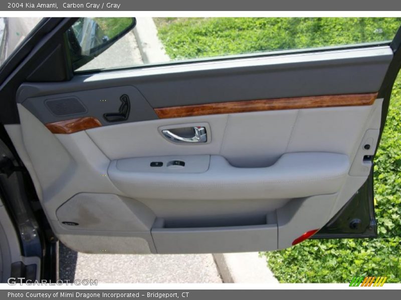 Carbon Gray / Gray 2004 Kia Amanti
