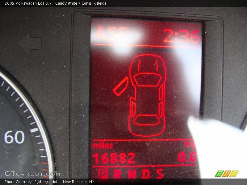Candy White / Cornsilk Beige 2009 Volkswagen Eos Lux