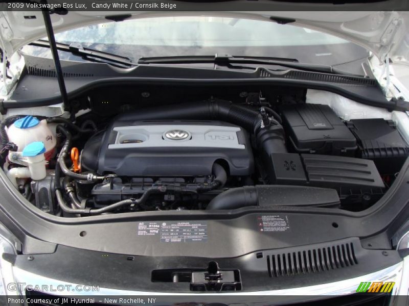 Candy White / Cornsilk Beige 2009 Volkswagen Eos Lux