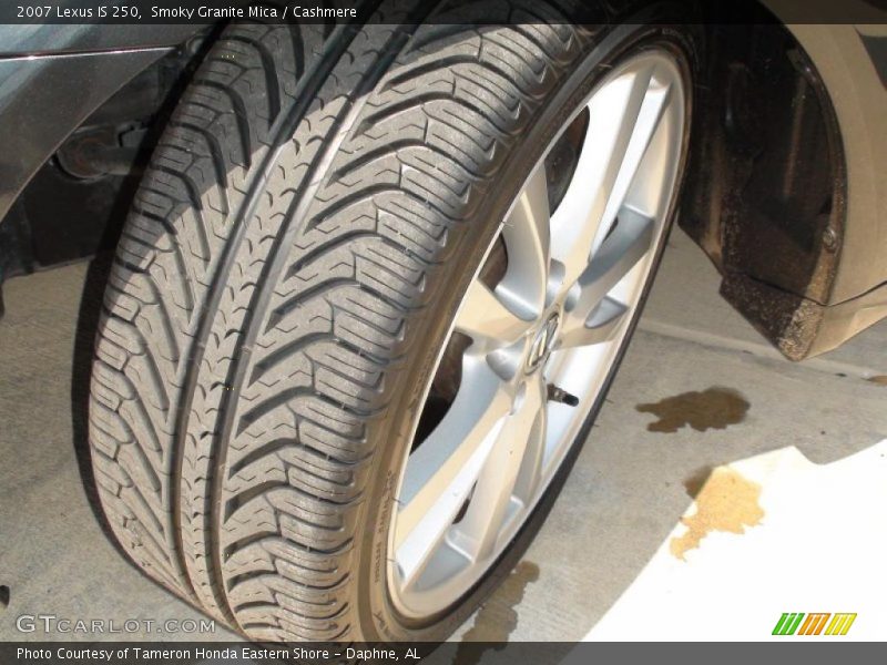 Smoky Granite Mica / Cashmere 2007 Lexus IS 250